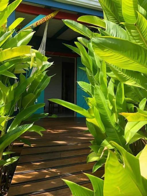 Secteur Prise, Bungalow Corail, Residence Casa Boubou Sainte-Anne  Eksteriør billede